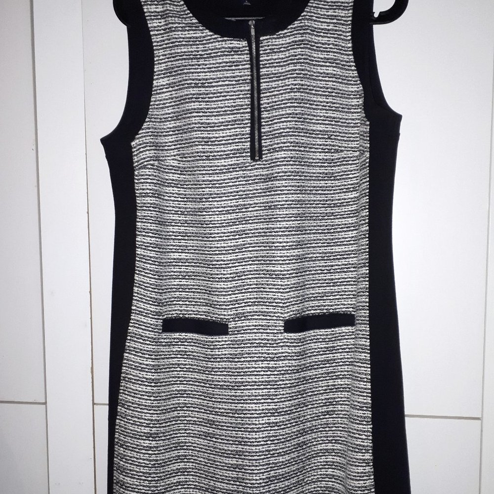 Madewell Kneelength Mod Dress